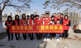 龙湖新溪爆料最新消息,揭秘神秘项目进展与影响